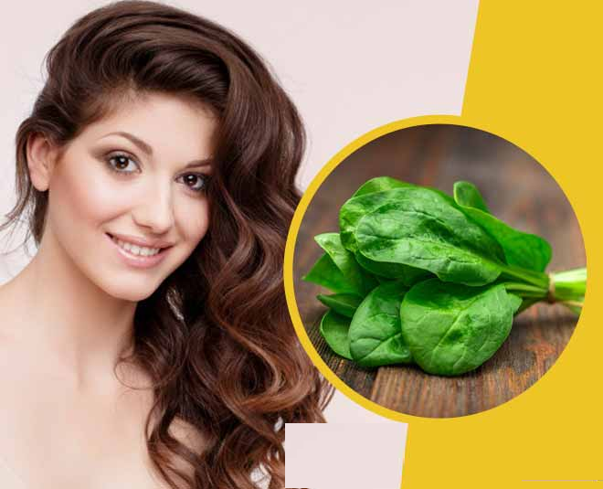Spinach for overcoming hair coarseness